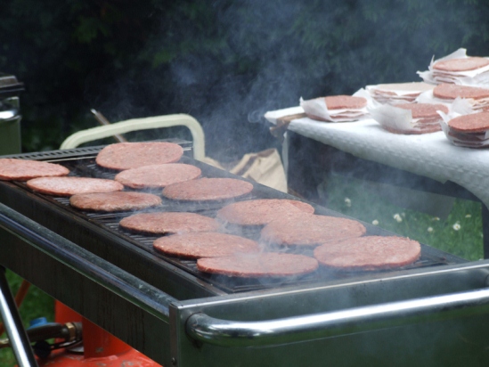 bbq550
