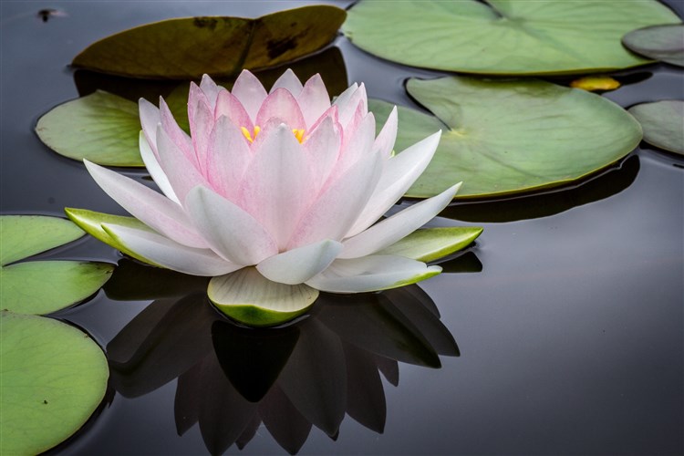 jay-castor-140248-unsplash