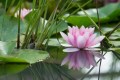 Saturday Soak - 12th July