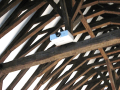 Replacing the St. Matthew’s Harwell projector - can you help with the cost?
